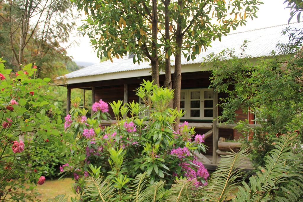 Posada Queulat Puerto Puyuguapi Camera foto